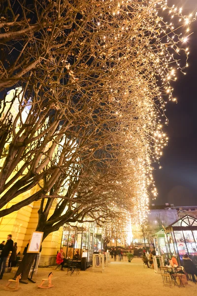 Illuminated trees in Zagreb — Stock fotografie