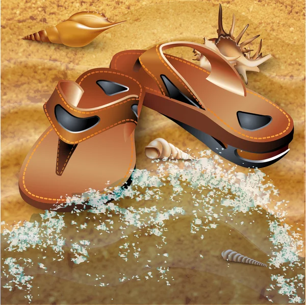 Set of a pair of slippers and sea-shells — Stock Vector