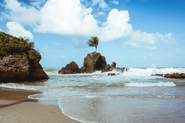 Playa de Tambaba. Playa oficial naturista / nudista en Brasil . — Foto de Stock