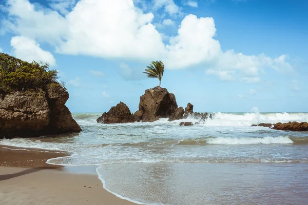 Praia de Tambaba. Praia oficial naturista / nudista no Brasil . — Fotografia de Stock