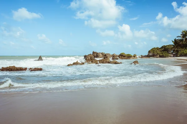 Tambaba plaży. Plaża naturystów/dla nudystów w Brazylii. — Zdjęcie stockowe