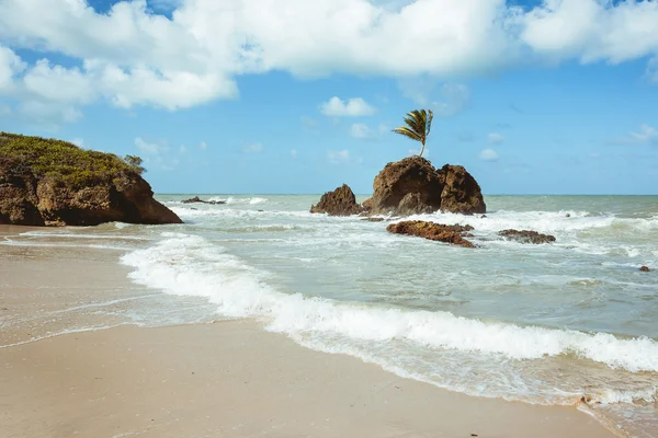 Tambaba plaży. Plaża naturystów/dla nudystów w Brazylii. — Zdjęcie stockowe