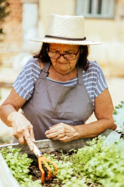 Bahçesiyle ilgilenen yaşlı kadın..