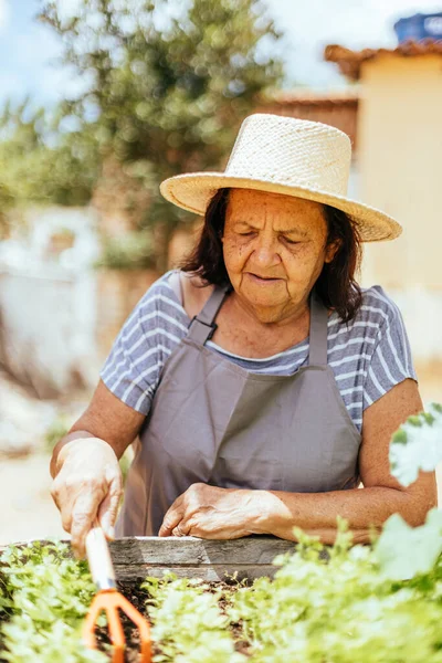 Wanita Tua Yang Menjaga Kebunnya — Stok Foto