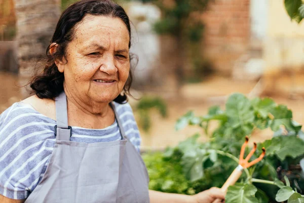 Donna Anziana Che Occupa Del Suo Giardino — Foto Stock