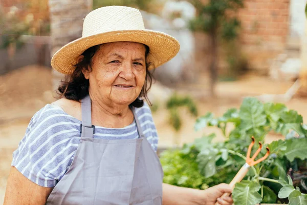 Donna Anziana Che Occupa Del Suo Giardino — Foto Stock