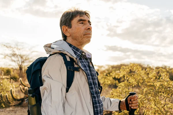 Homem Idoso Fazendo Atividade Livre Caminhante Semiárido Brasil Fotografia De Stock