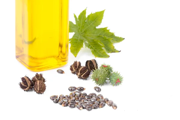 Castor oil Stock Picture