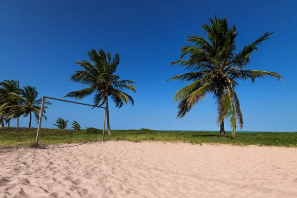 Praia tropical com objetivo rústico, palmeiras, areia branca e pura — Fotografia de Stock