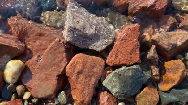 Napfényvisszaverődés Kövek Strandon Tengervíz Napfényben — Stock videók