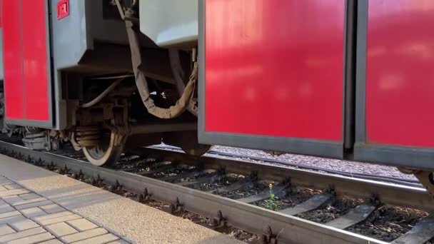 Trein Opent Deuren Passagiers Stappen Uit Het Perron — Stockvideo