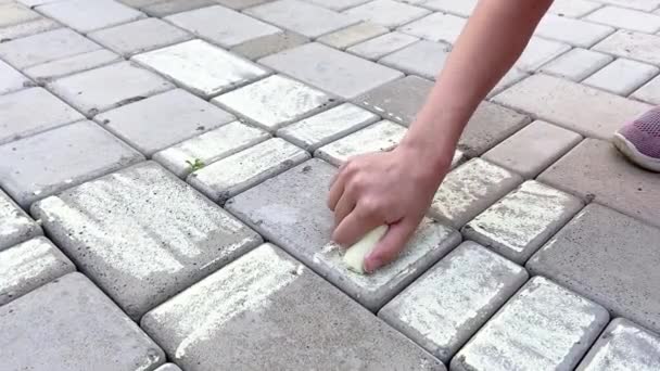 Çömelmiş Bir Kız Kaldırım Taşlarına Tebeşirle Çiziyor Yakın Çekim Görünümü — Stok video
