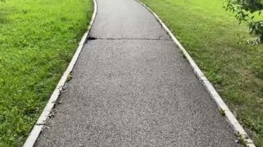 Asfalt kaldırımda yeşil çimlerle çevrili bir kaldırım 