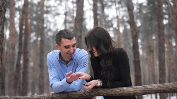 冬の森に手を繋いでいる幸せなカップル。ロマンチックな瞬間 — ストック動画