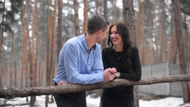 Pareja feliz cogida de la mano en el bosque de invierno. Momento romántico — Vídeos de Stock