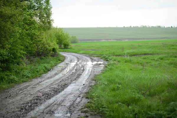 Estrada de terra na vila, primavera e grama verde ao redor. Polos de poder na aldeia ao longo da estrada. Paisagem rural - maio na Ucrânia. — Fotografia de Stock