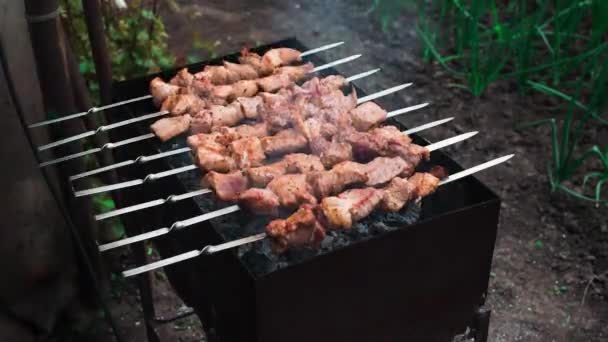 Barbecue timelapse avec viande grillée — Video