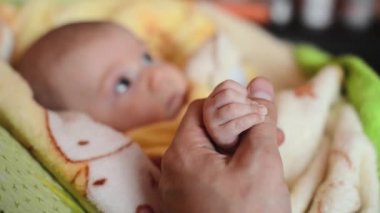 Babasının parmağını tutan bebek el