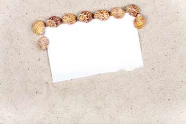 kum ve deniz kabuklarını etrafında boş bir beyaz kağıt arka plan 