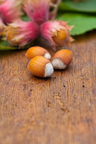 Hazelnoten op houten bord — Stockfoto