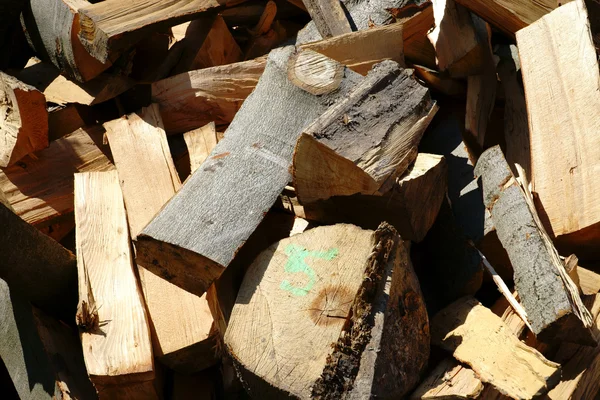 Detail of dry firewood — Stock Photo, Image
