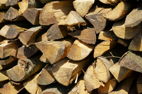 Background of dry firewood — Stock Photo, Image