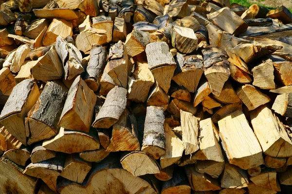 Background of dry firewood — Stock Photo, Image