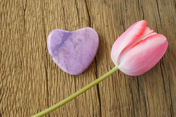 Singolo tulipano rosa e un cuore di pietra — Foto Stock