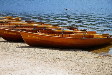 Kürekli bir göl kıyısında