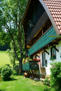 Kara Orman keyifli kır evi