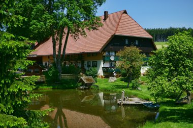 Kara Orman gölet ile güzel çiftlik evi