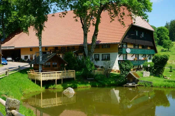 Landhaus mit Teich im Schwarzwald — Stockfoto