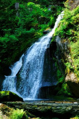 Triberg şelaleler Kara Orman, Almanya-2