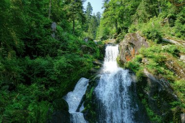 Kara Orman, Almanya-5 Triberg şelaleler