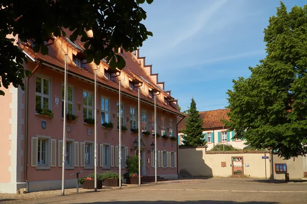 The Town Hall of Breisach — стокове фото