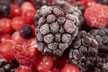 Makro çekim donmuş böğürtlen