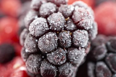 Makro çekim donmuş böğürtlen