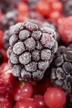 Makro çekim donmuş böğürtlen