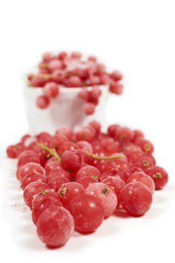 Makro çekim donmuş kuş üzümü