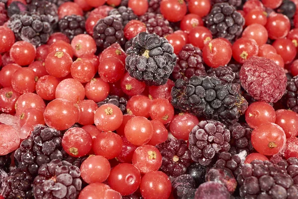 Background of many frozen berry fruits — Stockfoto