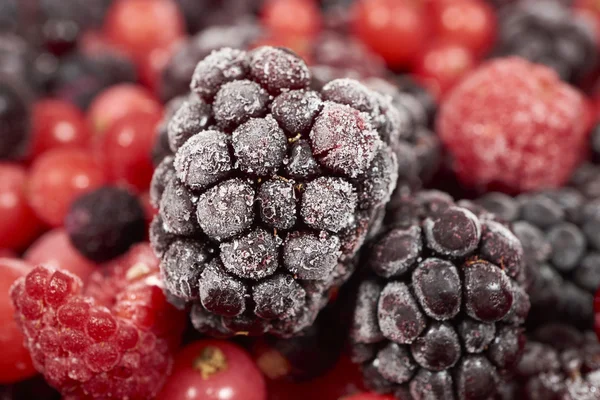 Macro shot of a frozen blackberry — Stock Photo, Image