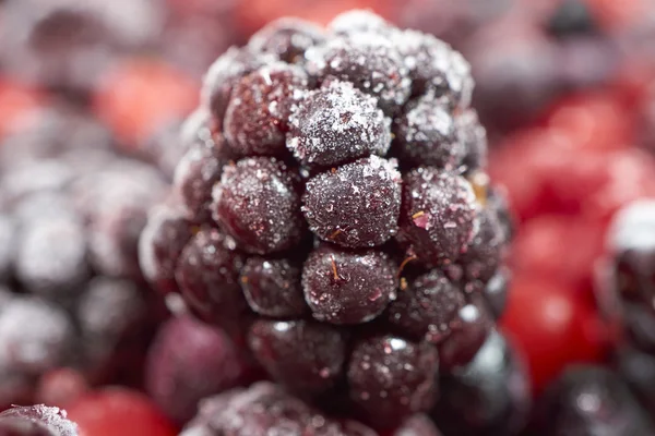 Macro-opname van een bevroren blackberry — Stockfoto