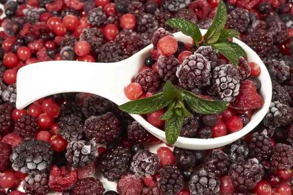 Weiße Porzellanschale mit gefrorenen Beeren — Stockfoto