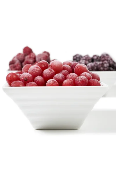 Bowls with frozen berries on white background — Stock Photo, Image