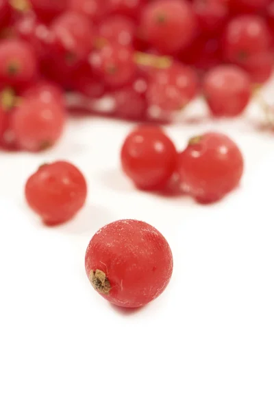 Makroaufnahme einer gefrorenen Johannisbeere — Stockfoto