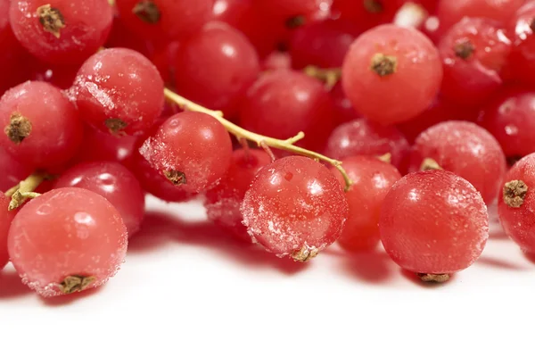 Background of frozen currants — Stok fotoğraf