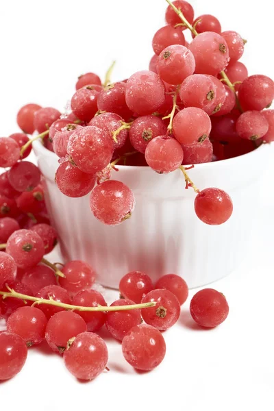 Currants, frozen in white bowl — 스톡 사진