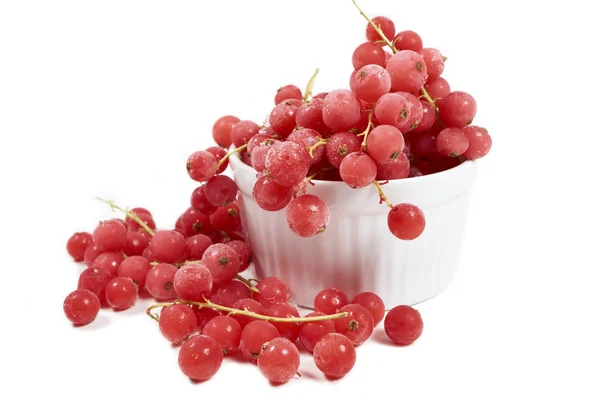Currants, frozen in white bowl — 스톡 사진