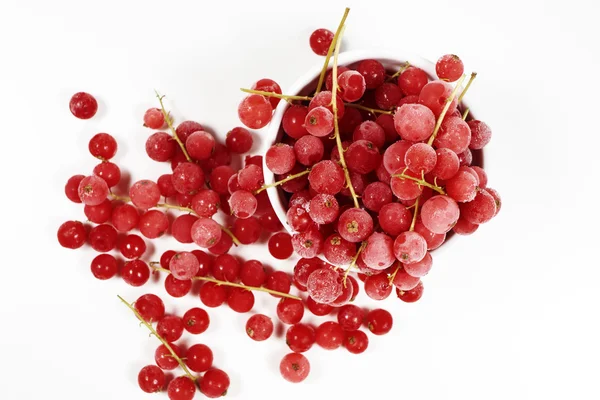 Top view of frozen currants with stems — 스톡 사진