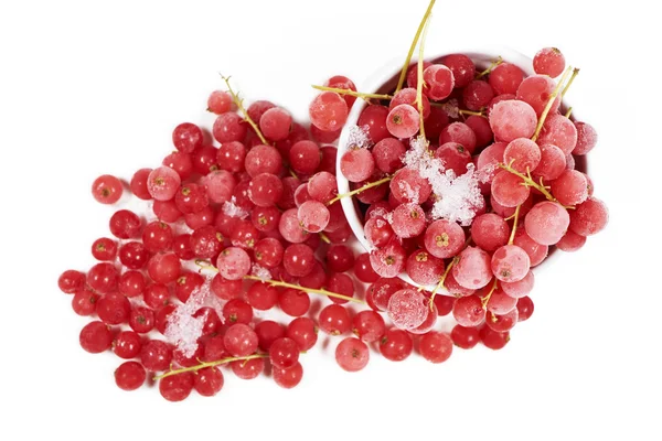 Top view of frozen currants with stems — Stock Photo, Image